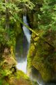 North Cascades NP III