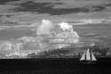 Port Townsend Sailboat I