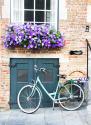 Brugge Door & Bicycle