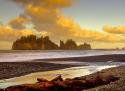 La Push Sea Stacks
