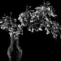 White Tree Flowers