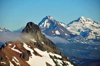 Three Fingered Jack