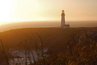 Yaquina Sunset