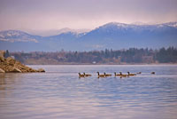 Sandpoint I