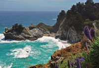 Hidden Cove II