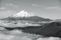 BW Mt. Shasta