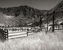 Summer Corral I