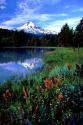 Mt. Hood III