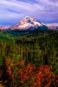 Mt. Hood IV