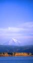 Mt. Hood XIX
