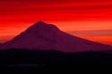 Mt. Hood XXVIII
