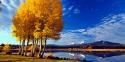 Sisters in Autumn I