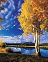 Sisters in Autumn II