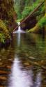 Punch Bowl Falls