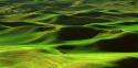Palouse Green