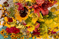 Summer Bouquet II