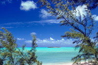 Pelican Cay