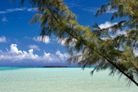 Sandbar Pelican Cay