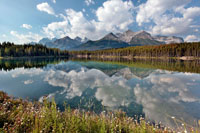Herbert Lake