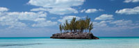 Gaulding Cay Conch Panel