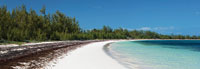 Winding Bay Beach II Panel