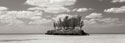Gaulding Cay Conch BW Panel
