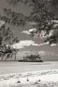 Gaulding Cay Island BW