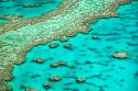 Great Barrier Reef I