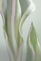 Pale Green Beginning I