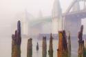 Siuslaw River Bridge IV