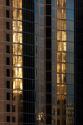San Diego Windows I