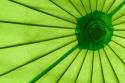 Green Umbrella
