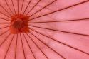 Red Umbrella