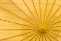 Yellow Umbrella