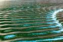 Wake Ripples I