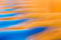 Gold & Blue IV