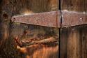 Cabin Hinge