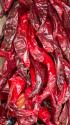 Ristras I
