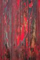 Old Paint II