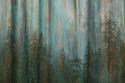 Forest I