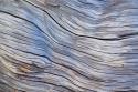Weathered Wood III