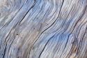 Weathered Wood IV