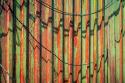 Cannery Wall