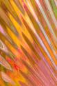Glass Patterns II