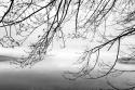 Seabeck Winter II