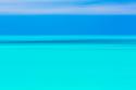 Tropical Abstract III