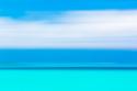 Tropical Abstract IV