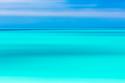 Tropical Abstract V