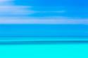 Tropical Abstract VI