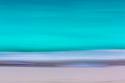 Tropical Abstract VII